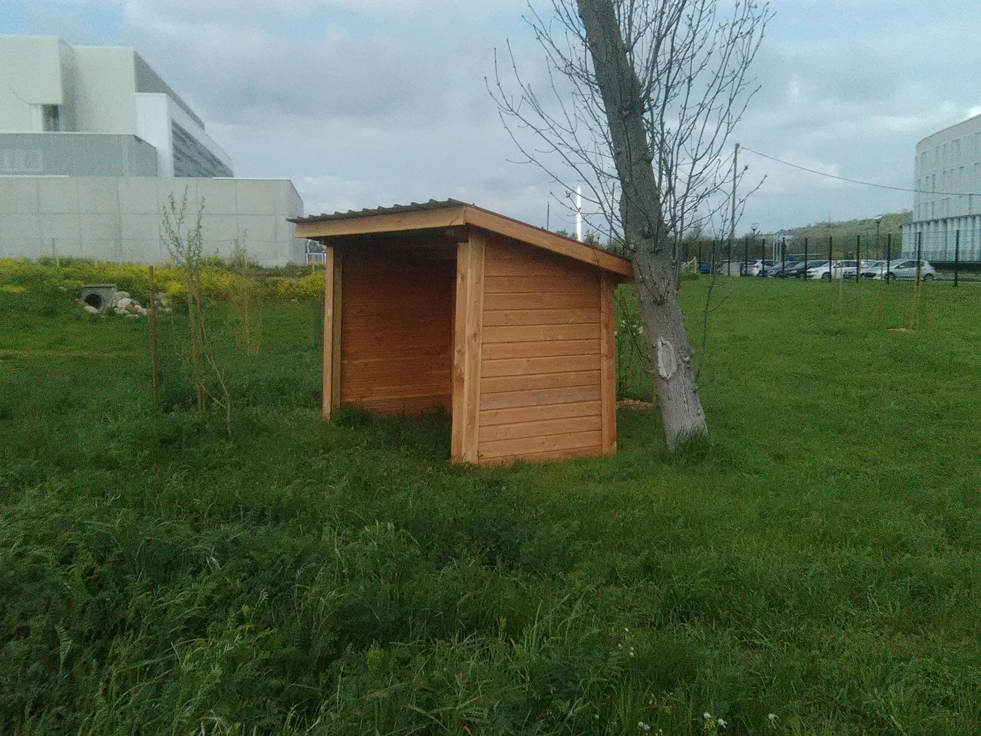 ecopaturage-de-vivies-espaces-verts-pamiers (8)